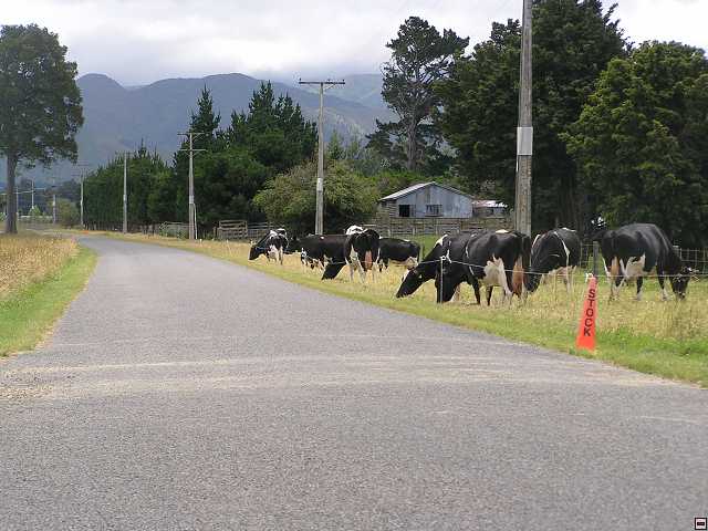 NZ leden-unor 2006 014.jpg